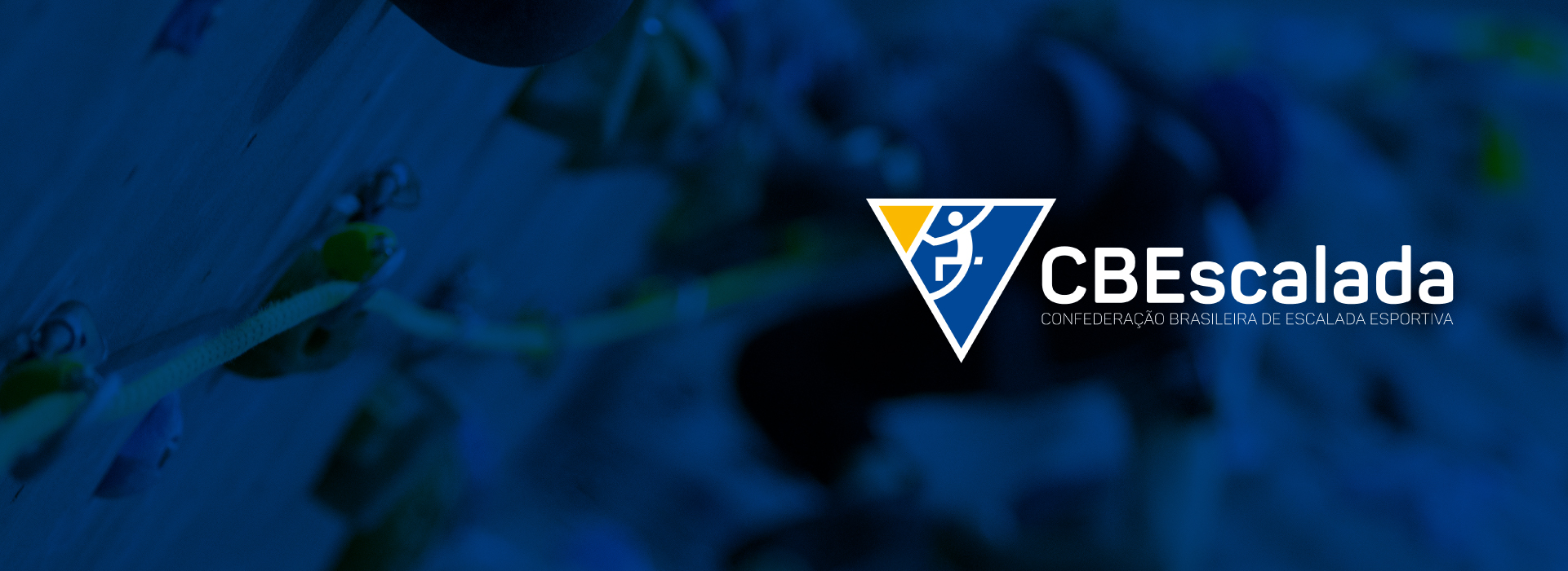 ABEE | Proposta Lead